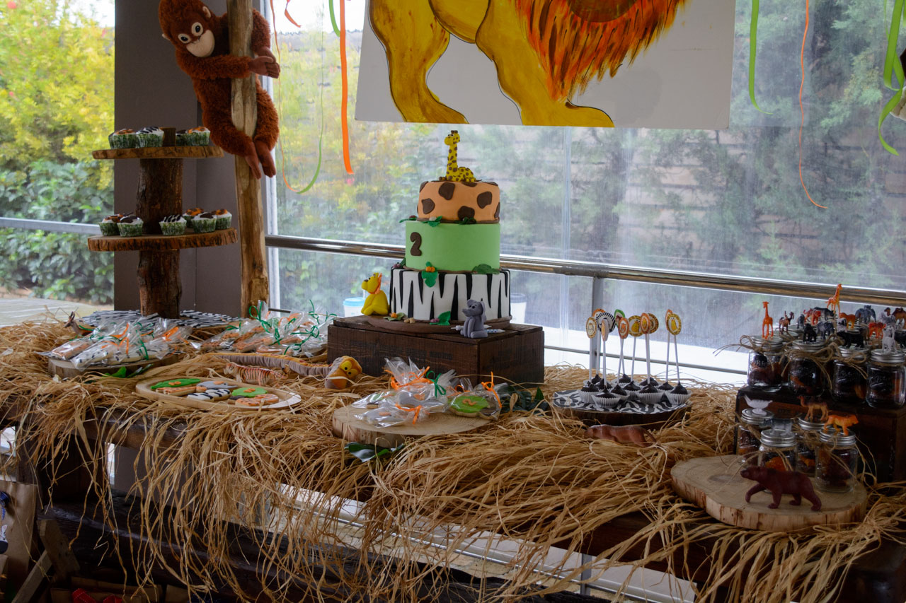 παιδικό πάρτυ γενεθλίων με θέμα ζώα της ζούγκλας paidiko party wild animals jungle